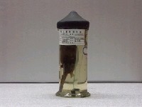 藏品(角箱魨)的圖片